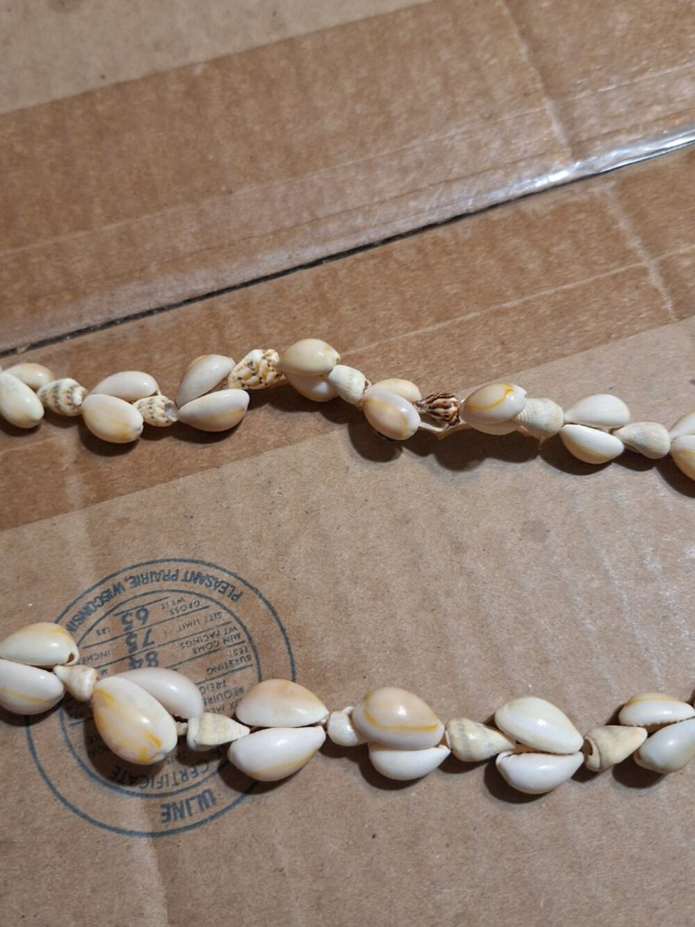 shell necklace - Picture 4 of 12